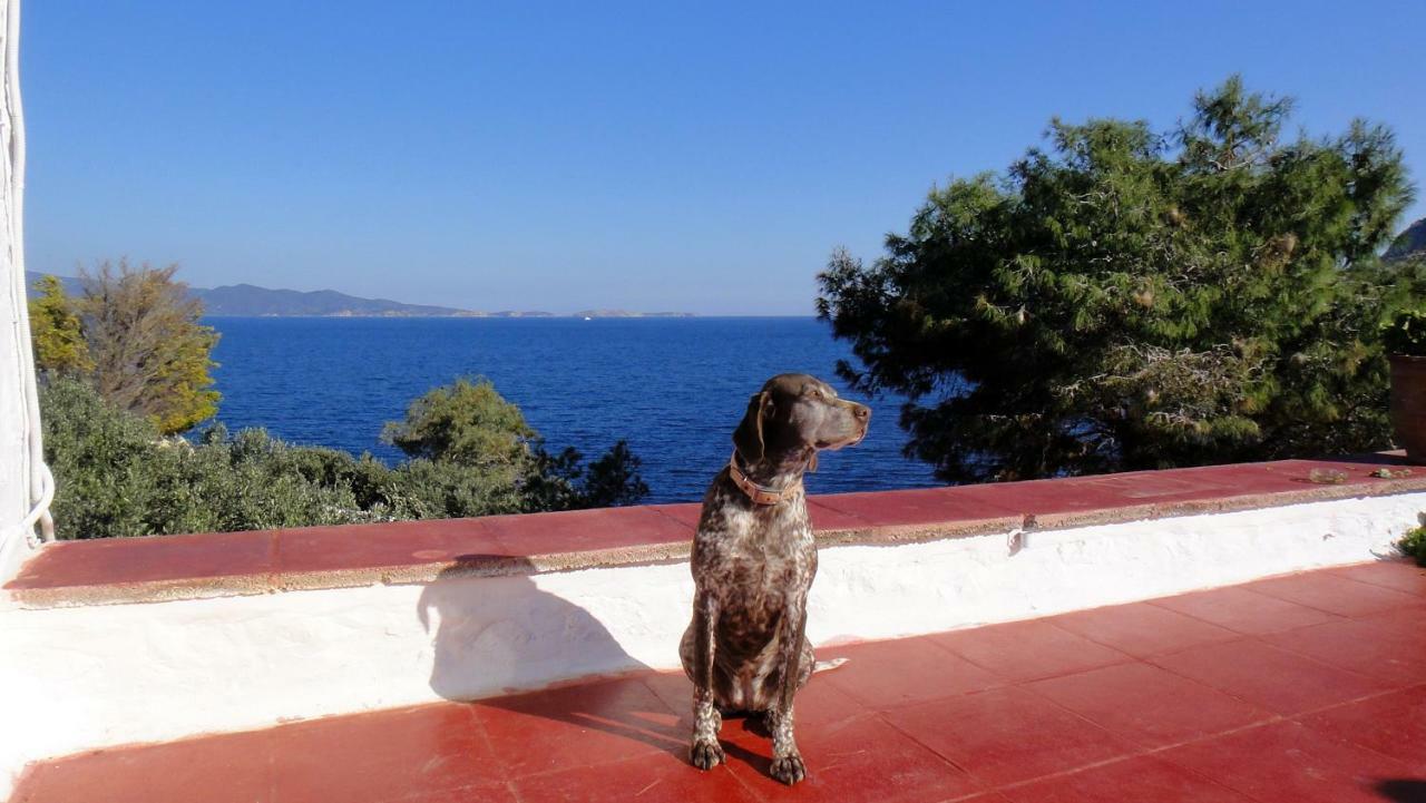 Villa Tramontana Hydra  Exterior foto